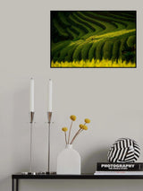 Little.. Poster och Canvastavla