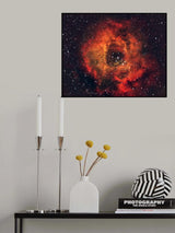 The Rose in the sky Poster och Canvastavla