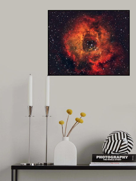 The Rose in the sky Poster och Canvastavla