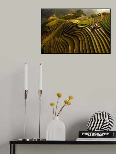 mu cang chai - vietnam Poster och Canvastavla