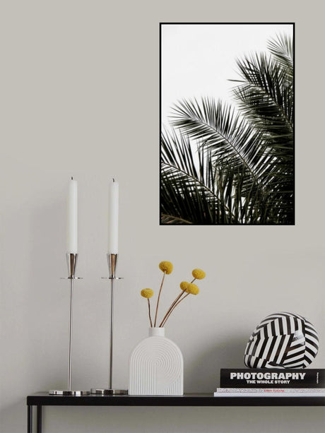 Palm Leaves 3 Poster och Canvastavla
