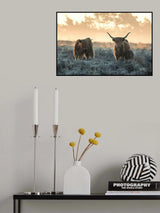 Three Highlanders Poster och Canvastavla