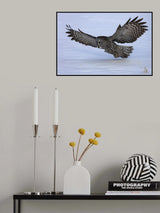 Stay Low Poster och Canvastavla