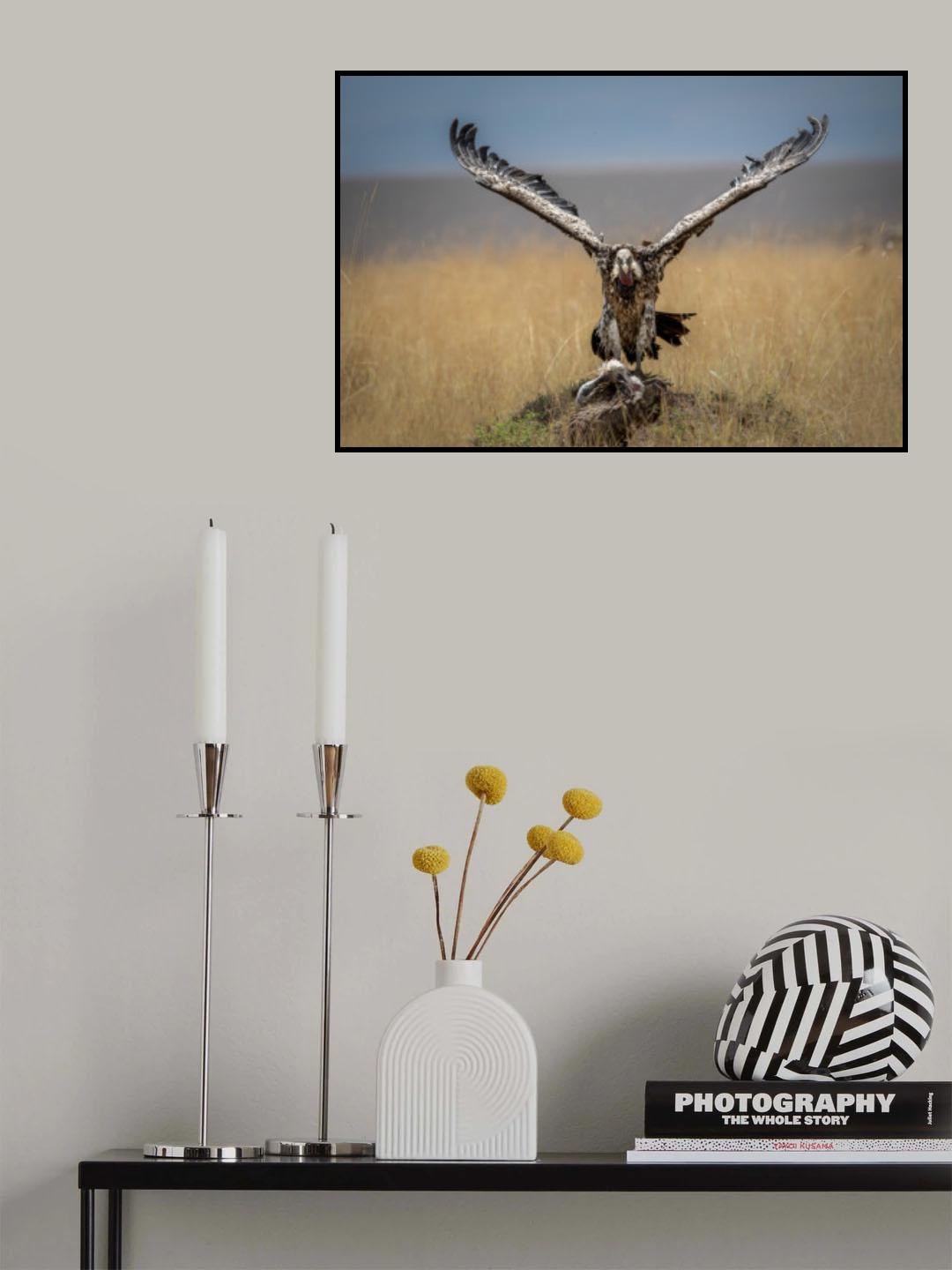 Perfect Landing Poster och Canvastavla