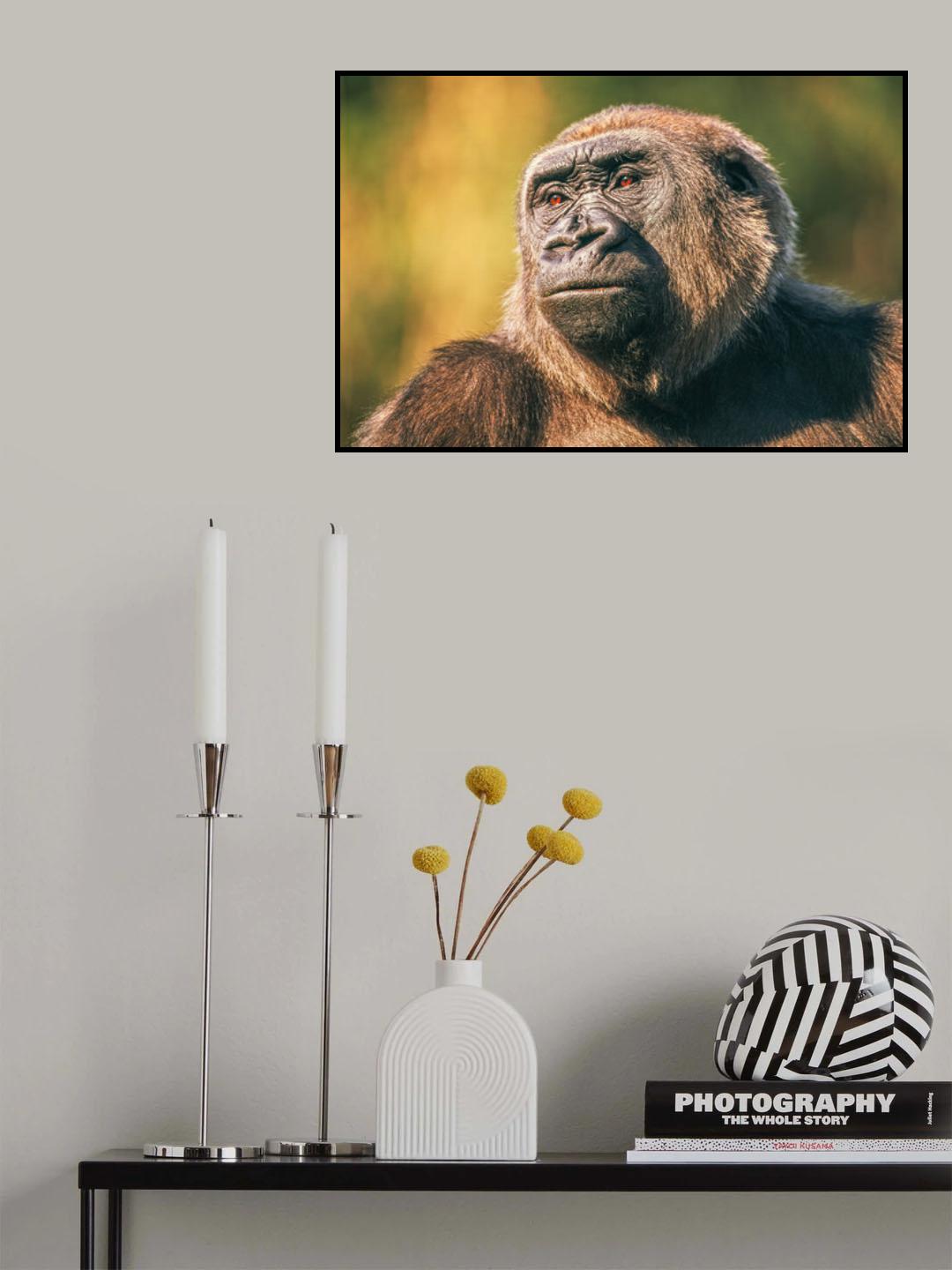 Intelligence in the eyes Poster och Canvastavla