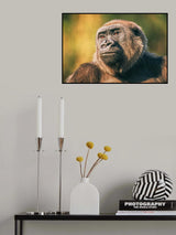 Intelligence in the eyes Poster och Canvastavla