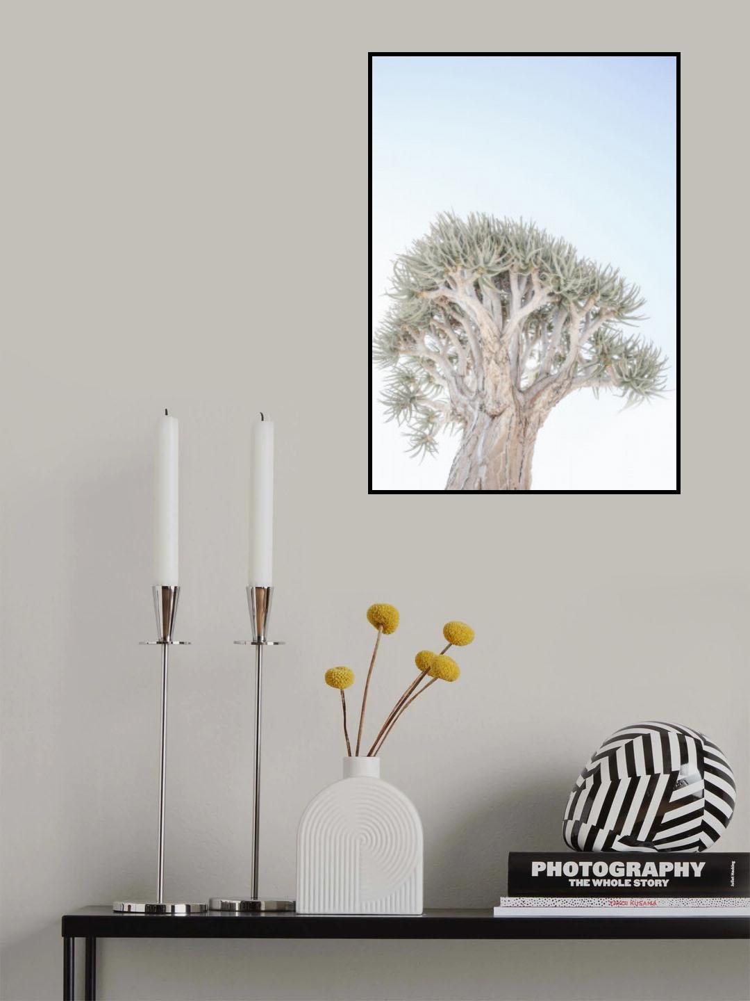 Quiver Tree Gk 05 Poster och Canvastavla