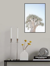 Quiver Tree Gk 05 Poster och Canvastavla