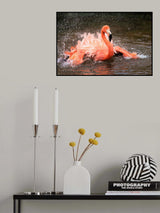 Bath Poster och Canvastavla