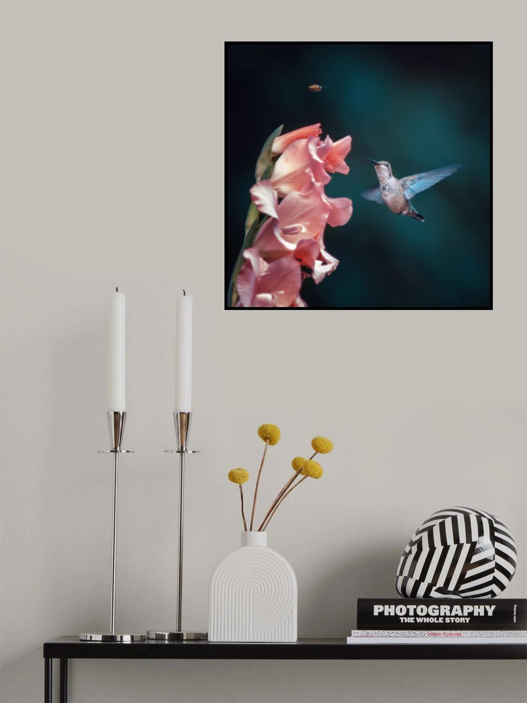 Hummingbird drove bees away from nectar Poster och Canvastavla