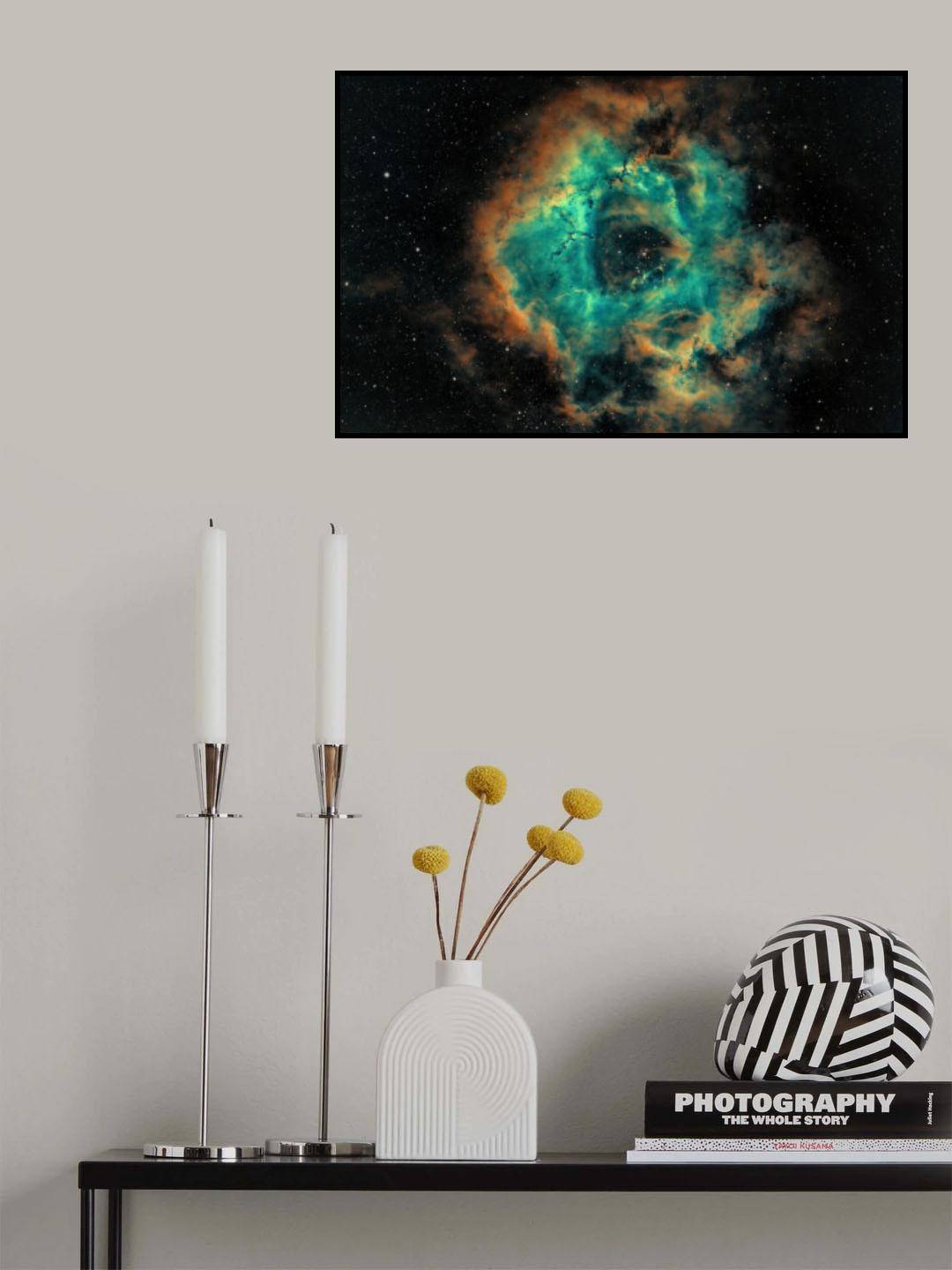 The Rosette Poster och Canvastavla