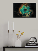 The Rosette Poster och Canvastavla