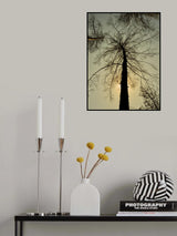 a burned tree Poster och Canvastavla