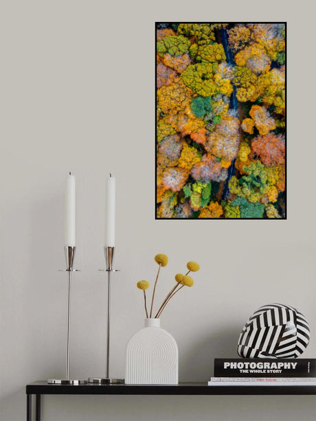 Autumn firework Poster och Canvastavla