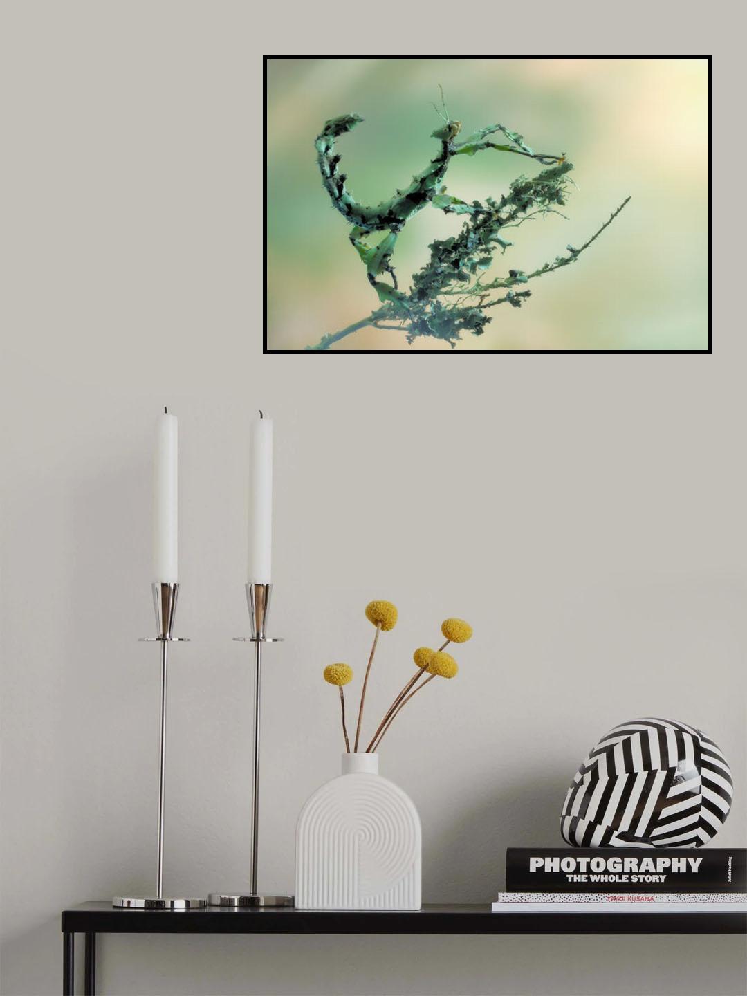 Looks like lichen Poster och Canvastavla