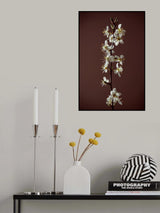 Spring branch Poster och Canvastavla