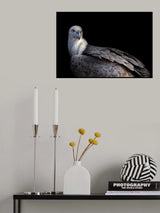 Poster och Canvastavla