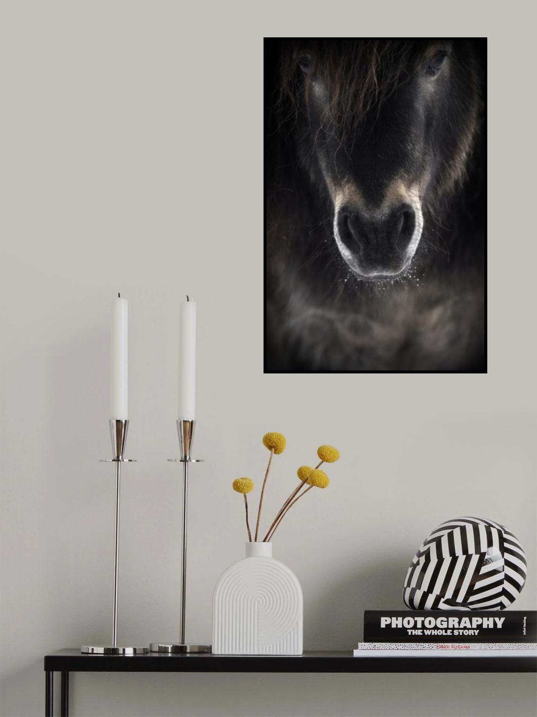 Ulysses Poster och Canvastavla