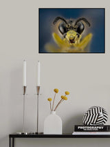 Wasp Poster och Canvastavla