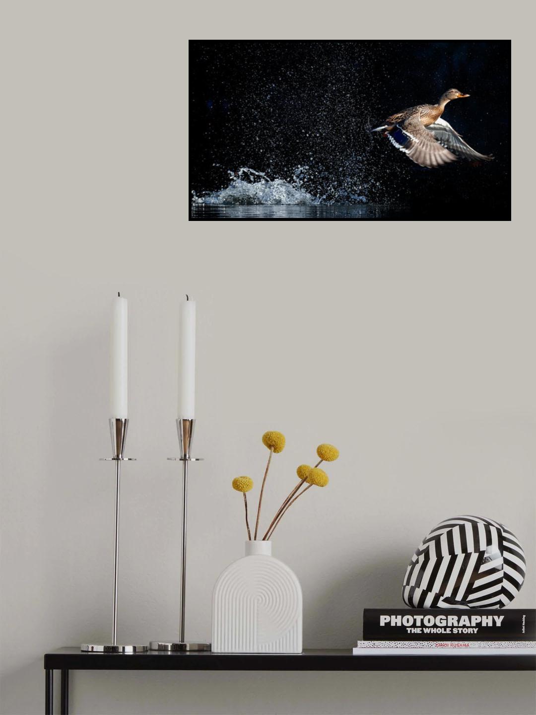 Poster och Canvastavla