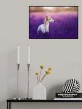 Purple sea Poster och Canvastavla
