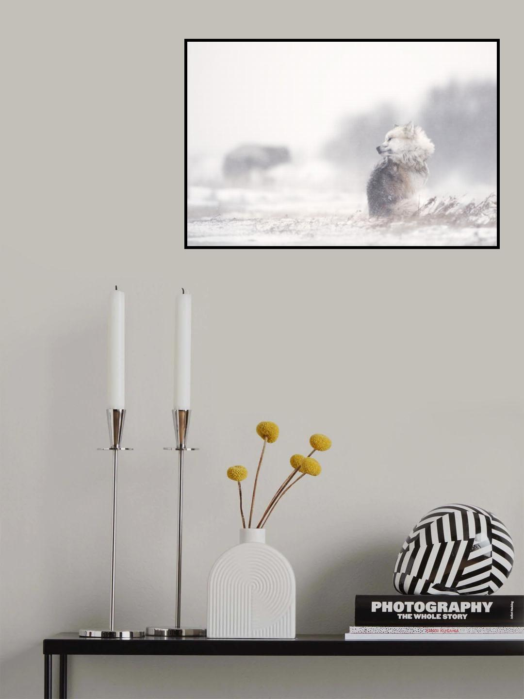dogs in the storm Poster och Canvastavla