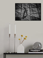 Walking Poster och Canvastavla