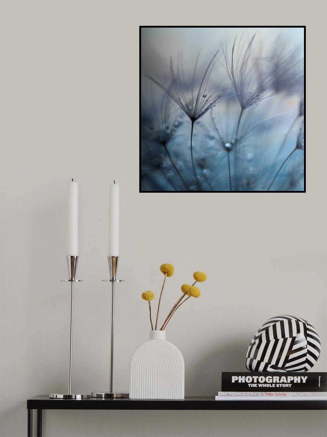 Teardrops Poster och Canvastavla