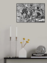 Poster och Canvastavla