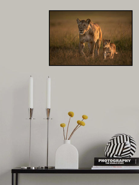 Mom lioness with cub Poster och Canvastavla