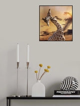 true love ... Poster och Canvastavla