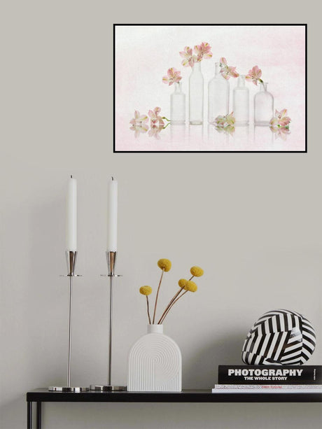 Peruvian-lily Gethering Poster och Canvastavla