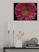 beautiful flower Poster och Canvastavla