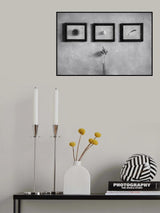 Evolution Poster och Canvastavla