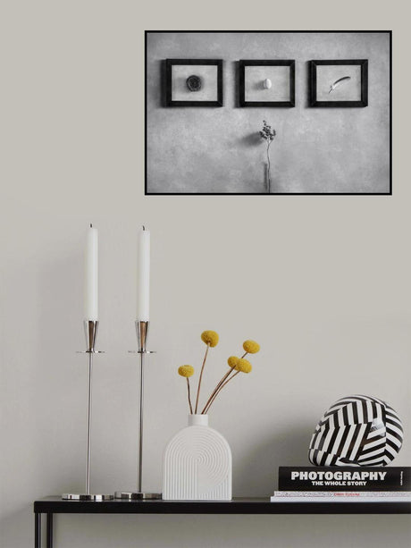 Evolution Poster och Canvastavla