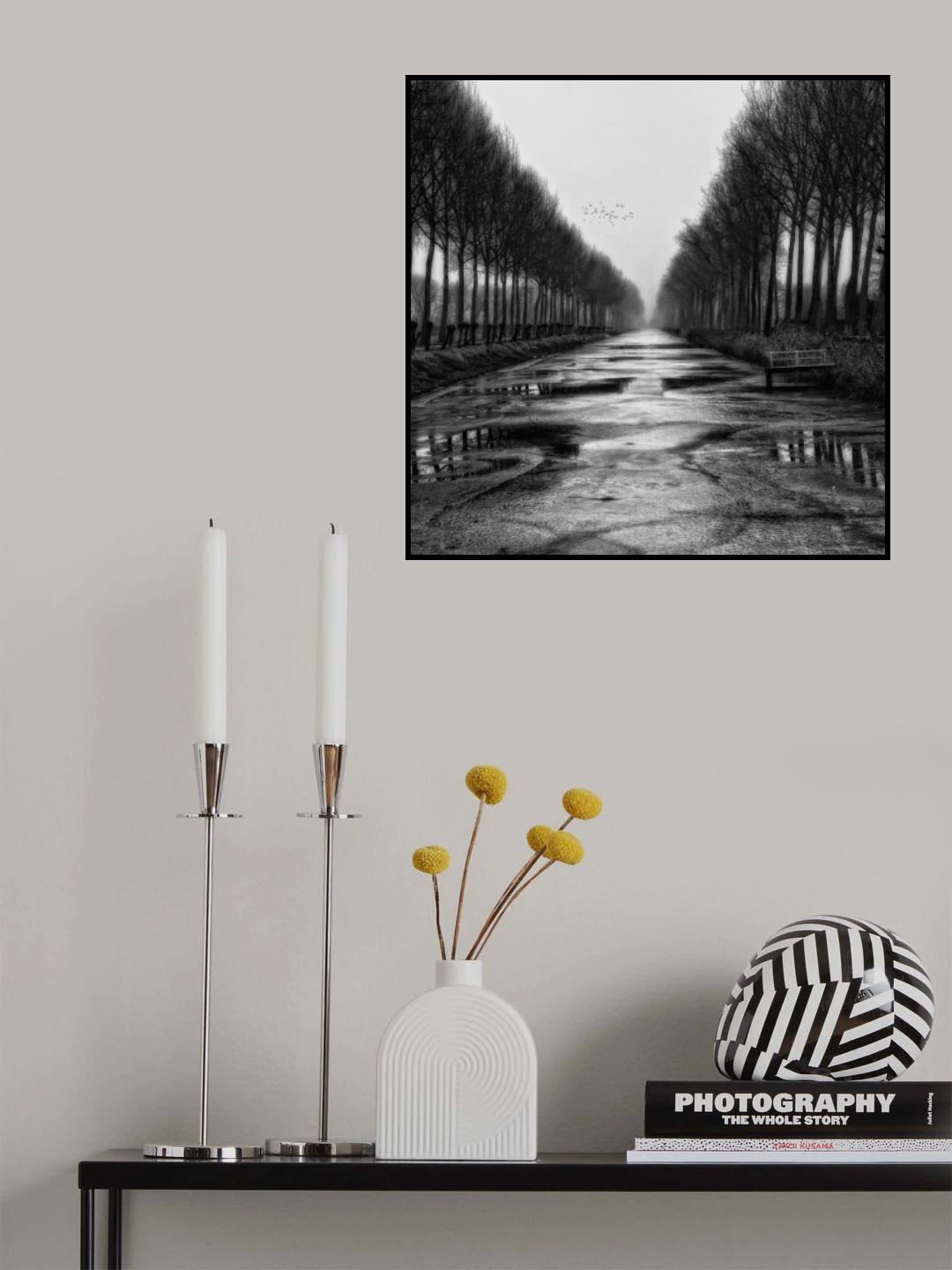 Autumn's soul Poster och Canvastavla