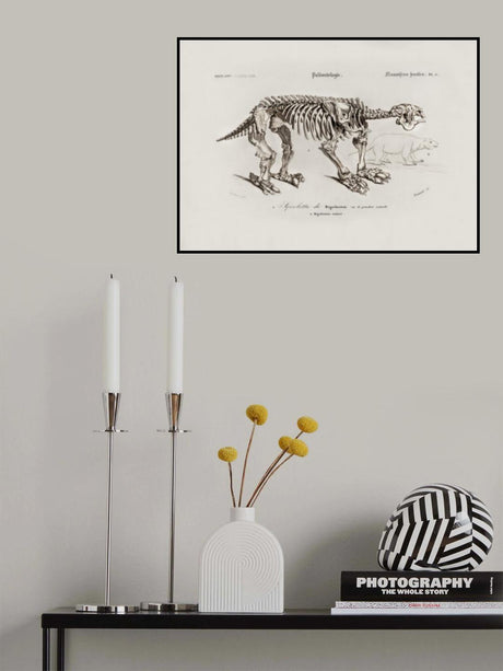 Megatherium Poster och Canvastavla