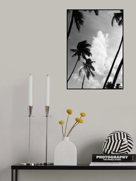 Coco Island No2 Poster och Canvastavla