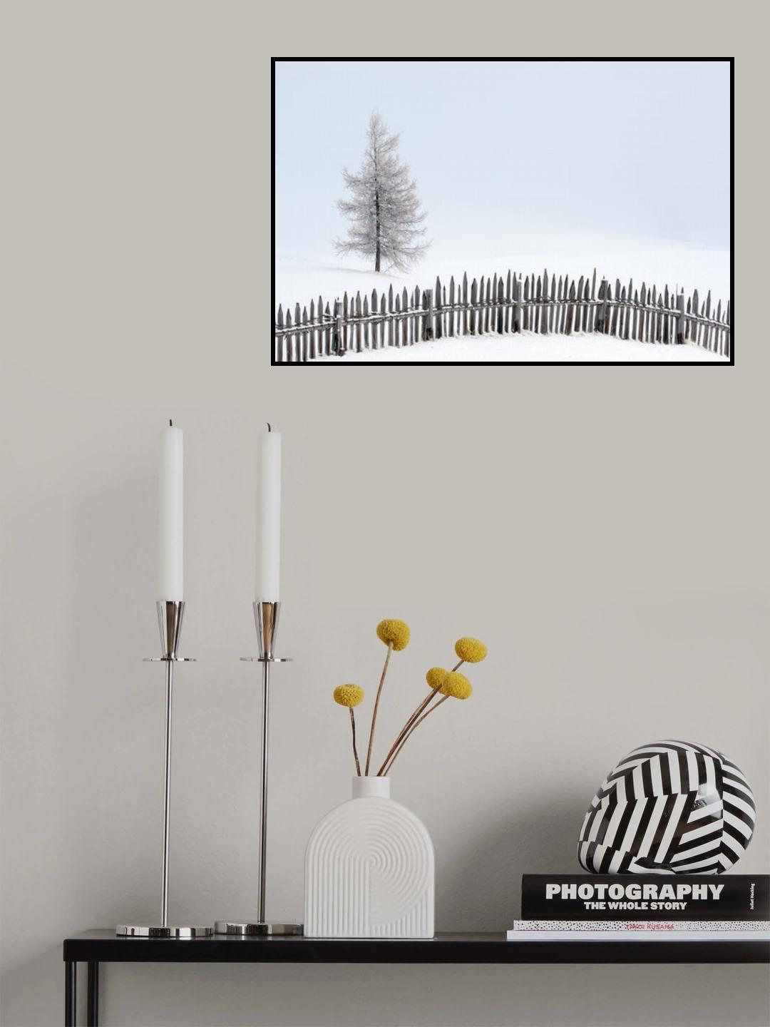 Soft fog Poster och Canvastavla