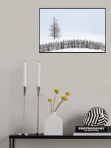 Soft fog Poster och Canvastavla