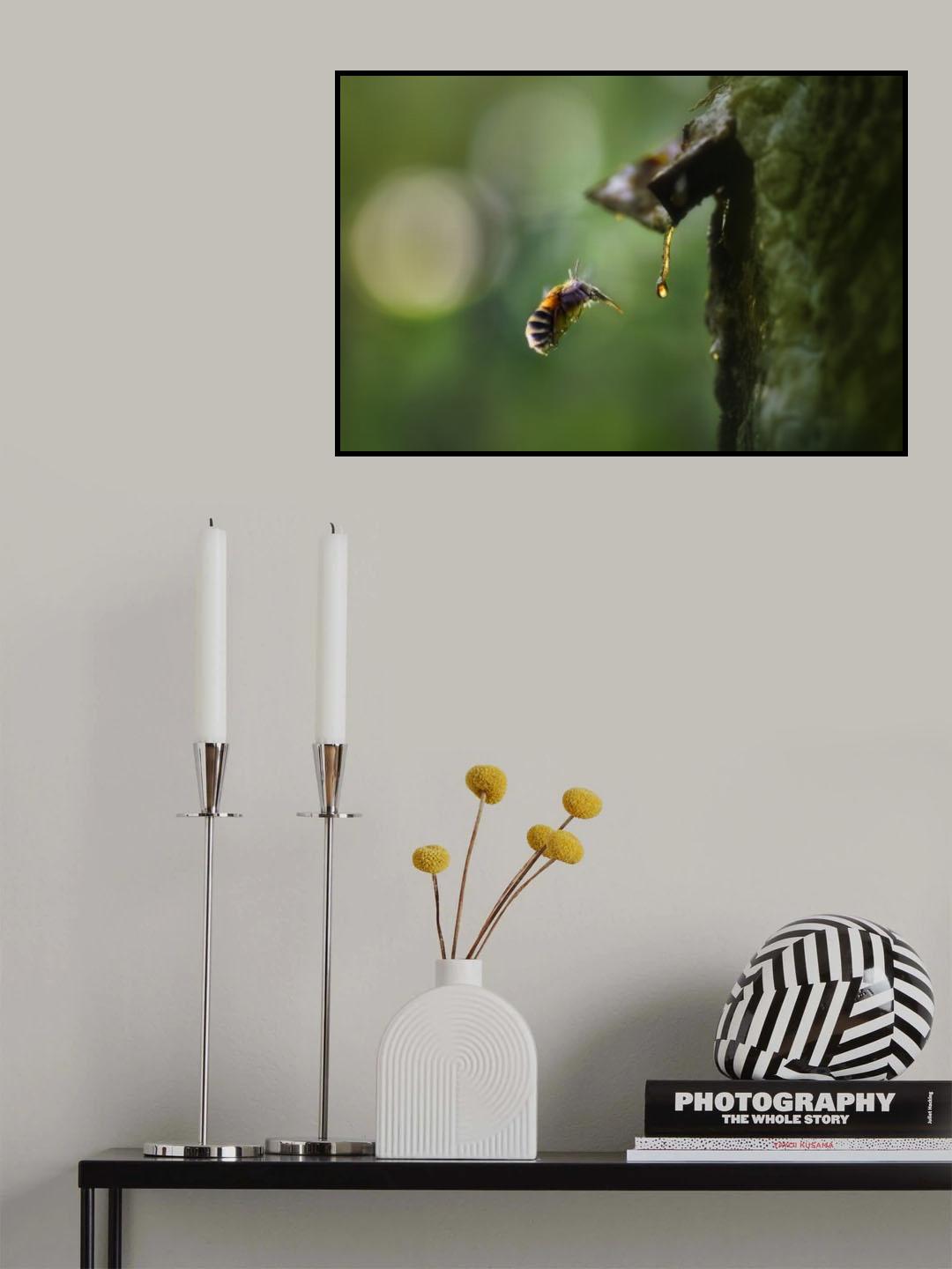 Thirsty Poster och Canvastavla