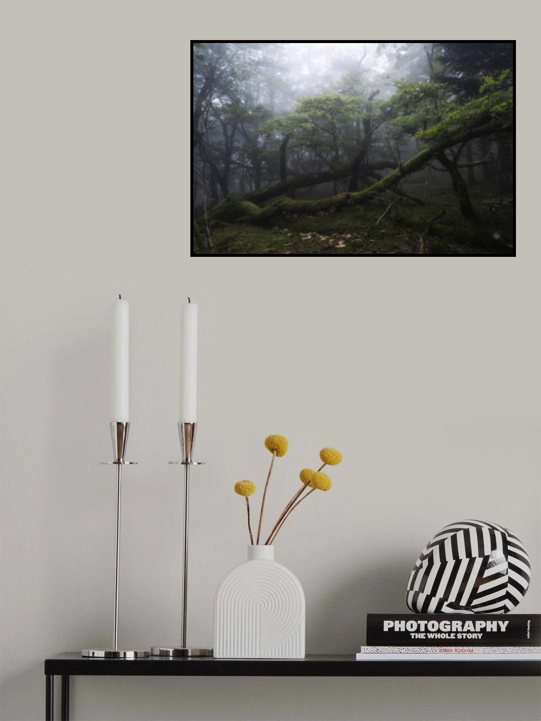 Not so weak Poster och Canvastavla