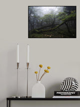 Not so weak Poster och Canvastavla