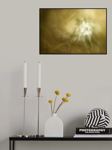early spring Poster och Canvastavla