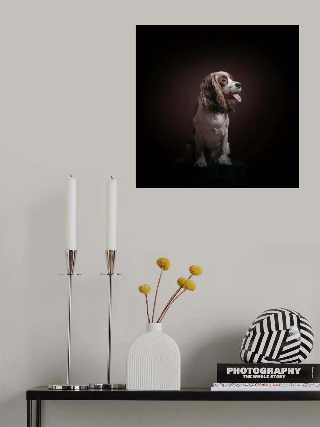 Mr Charlie Poster och Canvastavla