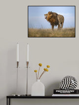 Love is in the air Poster och Canvastavla