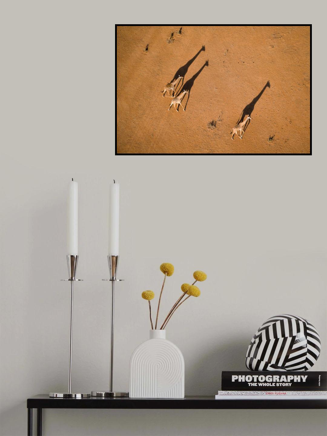 Walking under Sunset Poster och Canvastavla