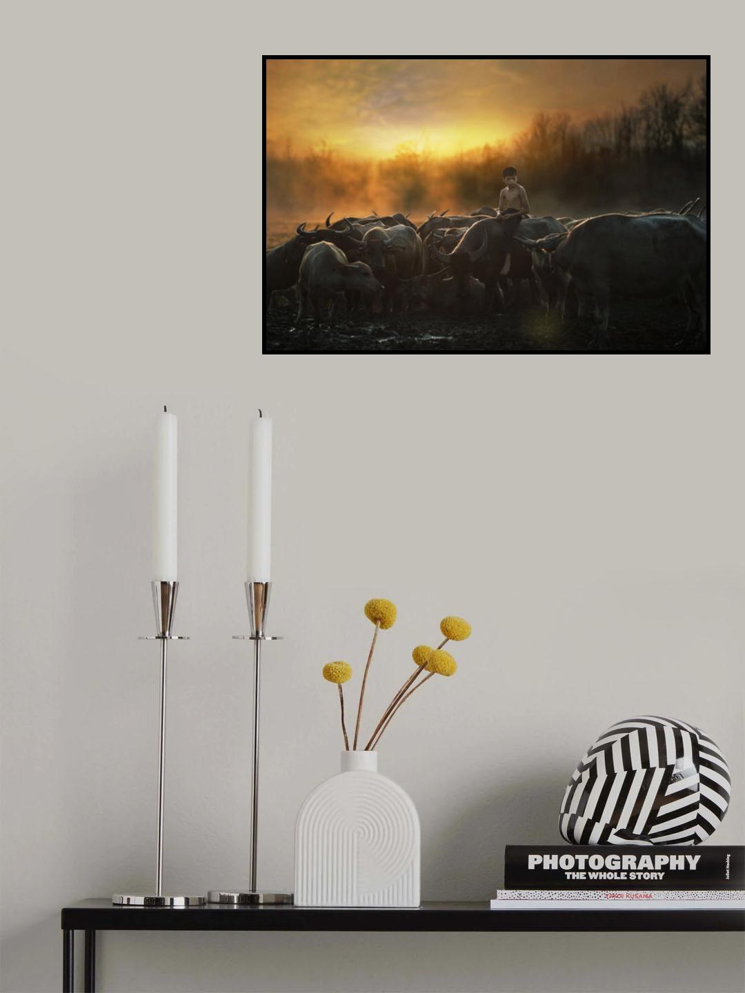 Country boy Poster och Canvastavla