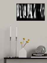 les ombres Poster och Canvastavla