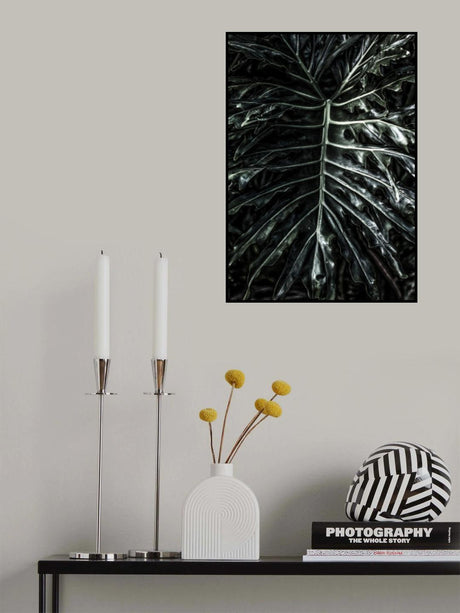 Jungle Poster och Canvastavla